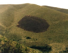 erks8