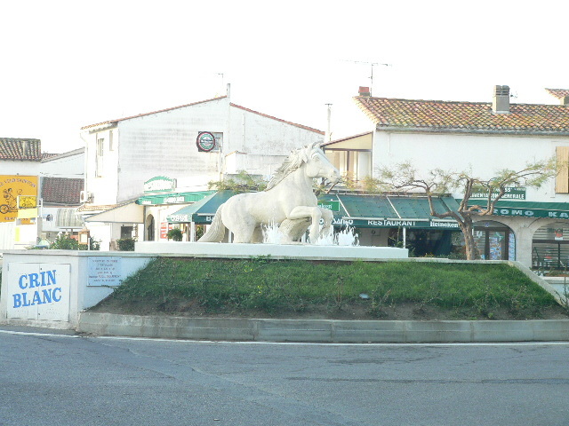 rosa4