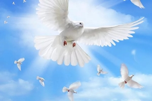 Ora&ccedil;&otilde;es pela Paz