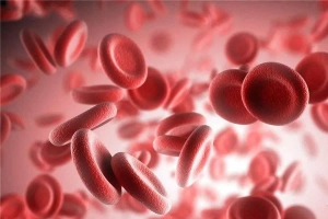 Nosso sangue n&atilde;o pode ser &aacute;cido
