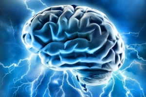 Tudo sobre o nosso c&eacute;rebro