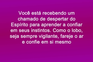 Sabedoria dos Anjos - Instintos