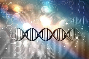 A Verdade Sobre o DNA