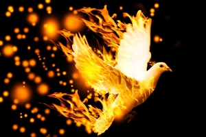 iPhoenix Cora&ccedil;&atilde;o Dourado