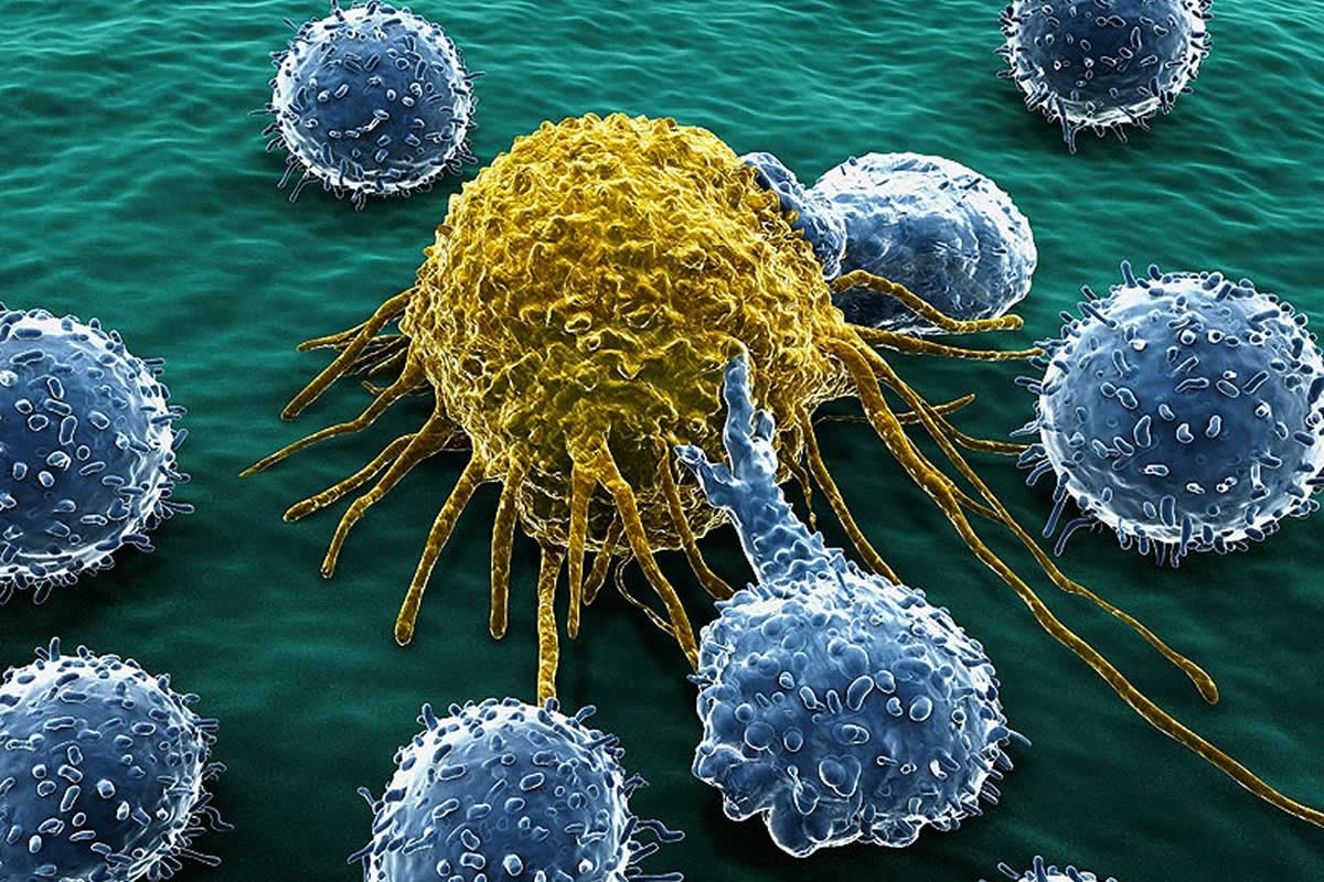 Como Evitar a Formação De Células Cancerosas