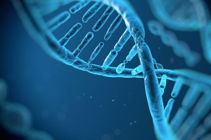 12 Fitas do DNA: Nossa Herança Espiritual