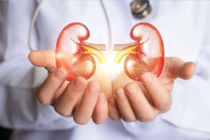 O que representam os Rins