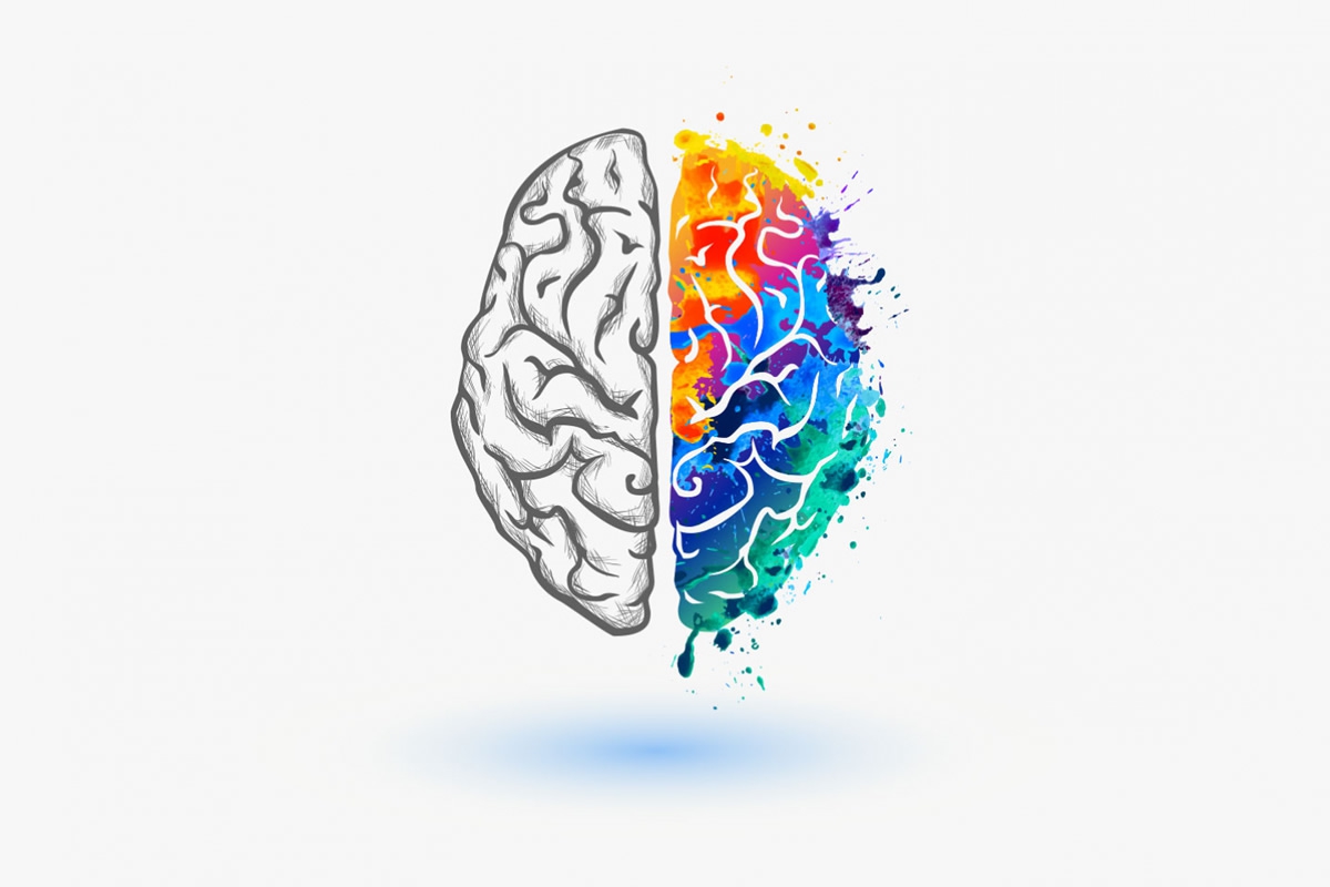 Meditação versus Cérebro