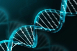 DNA Tachyons