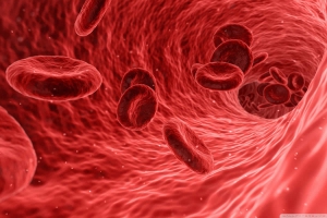 Nosso sangue n&atilde;o pode ser &aacute;cido
