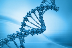 Dna, Mudan&ccedil;as Corporais e Recomenda&ccedil;&otilde;es - por Susanna Thorpe-Clark
