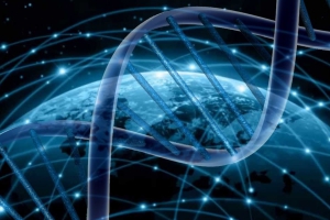 As Doze Camadas de DNA
