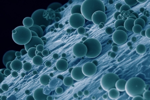 Platina na forma de nanocubos otimiza c&eacute;lulas de hidrog&ecirc;nio