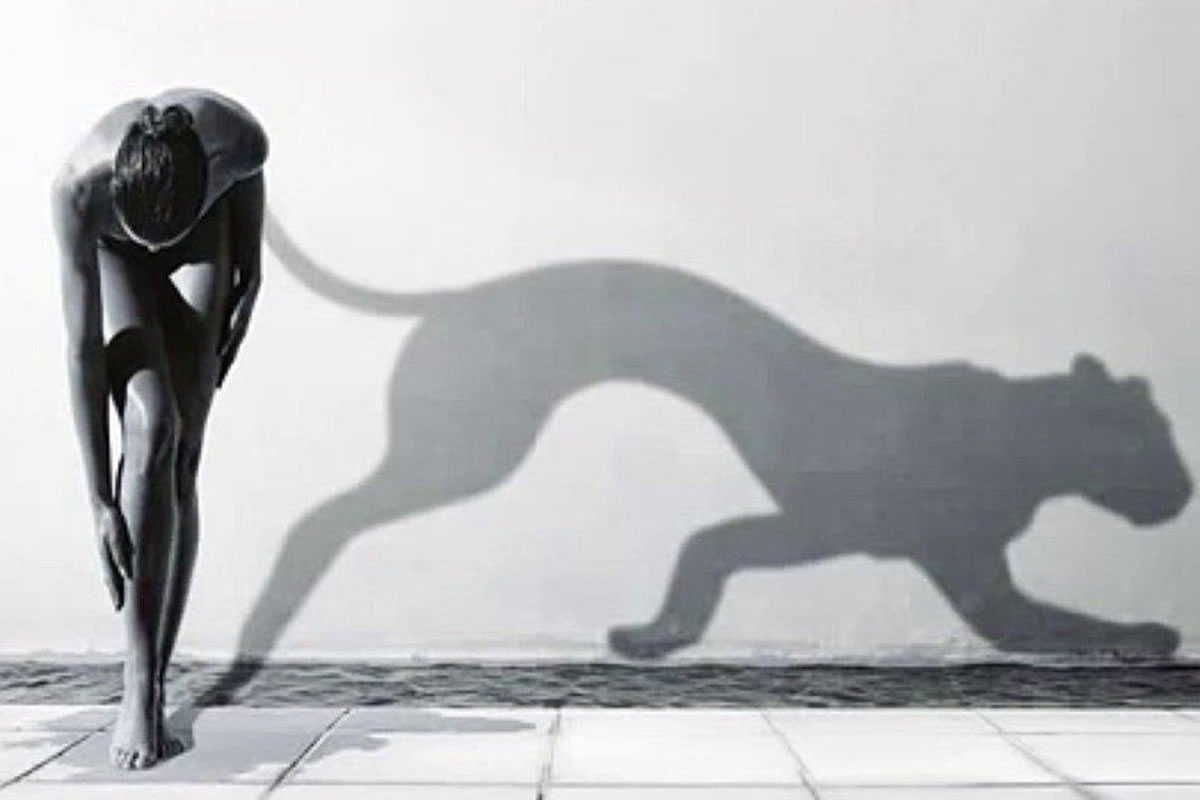 Sombra Coletiva
